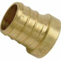 Sharkbite-Cash Acme 0.37 in. Brass Barb Pex End Plug 122644